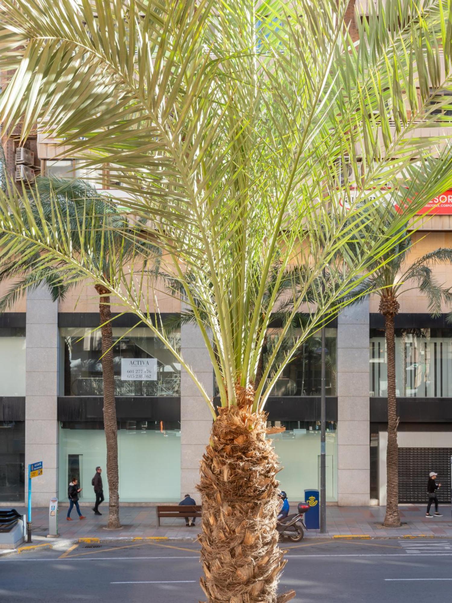 Hotel La City Mercado à Alicante Extérieur photo